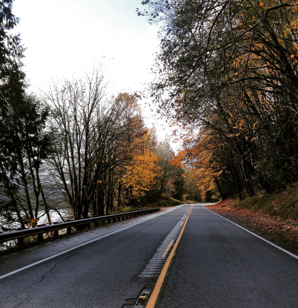 Fall roads