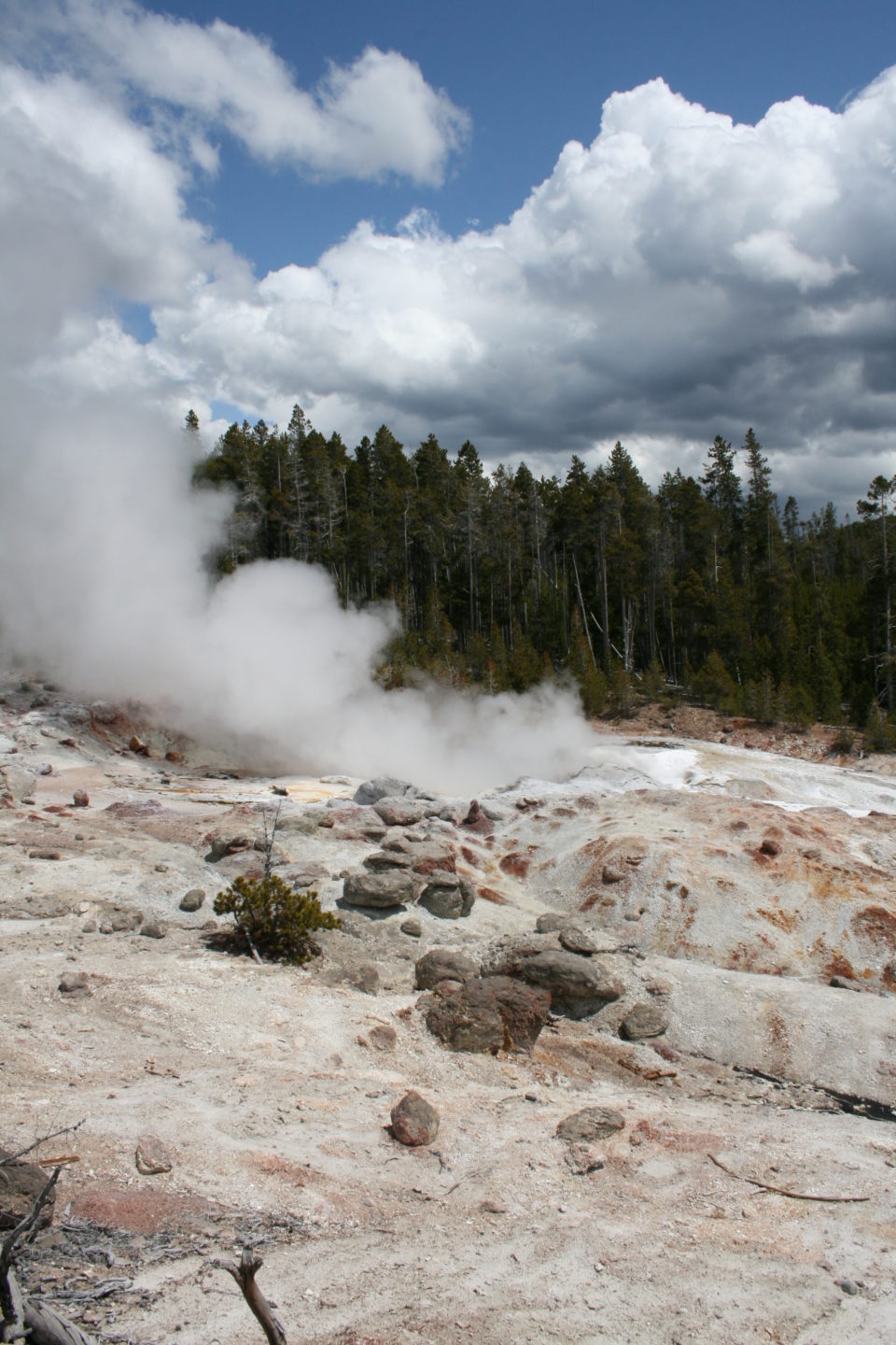 thermal pool, steam, Yellowstone National Park
